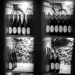 Götz Pincészet Gombos-hegyi Pincesor UNESCO #ilovetokaj #tokaj #aszu www.aszu.org www.ilovetokaj.com #visittokaj www.tarcal.org www.ilovetokaj.org www.szerencs.org www.kidsdinefree.com www.kidsdinefree.net www.kidseatfreecard.com www.smartsim.cards www.smartsimusa.com www.szerencs.com www.taktik.enterprises www.tokaj.me www.travelsavings.cards www.vipshopdine.com www.shopdineplay.com www.visittarcal.com www.visittarcal.org www.maygarbor.com www.tokajbor.com www.play4lesscard.com www.taktikenterprises.com www.bugyidobo.com www.thattravelsolution.com www.st.thatravelsolution.com www.tokajwineries.com www.dine4lesscard.com #TokajAszu #hungarywines #hungarianwine #tokajwine
