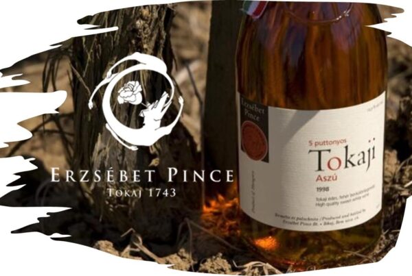 Erzsébet Pince Tokaji Coffee Roasting Manufactory | Tokaj Wine Visit Tokaj and VisitTokaj.org Award winning white wines, Aszu and Eszencia #ilovetokaj #tokaj #aszu www.aszu.org www.ilovetokaj.com #visittokaj www.tarcal.org www.ilovetokaj.org www.szerencs.org www.kidsdinefree.com www.kidsdinefree.net www.kidseatfreecard.com www.smartsim.cards www.smartsimusa.com www.szerencs.com www.taktik.enterprises www.tokaj.me www.travelsavings.cards www.vipshopdine.com www.shopdineplay.com www.visittarcal.com www.visittarcal.org www.maygarbor.com www.tokajbor.com www.play4lesscard.com www.taktikenterprises.com www.bugyidobo.com www.thattravelsolution.com www.st.thatravelsolution.com www.tokajwineries.com www.dine4lesscard.com #TokajAszu #hungarywines #hungarianwine #tokajwine
