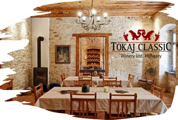 Tokaj Classic’s founding musicians, who were widely traveled and had tasted a variety of wines from different countries, came to the unanimous conclusion that Tokaj was a diamond in the rough, just waiting to be polished. In the historic village of Mád, the musicians refurbished an old estate and acquired vineyards in the historical prime locations of Királyhegy (King’s Mountain), and Betsek, formerly owned by the Hungarian nobility. It was a region with a wine growing history dating back over 400 years. VisitTokaj.org Award winning white wines, Aszu and Eszencia #ilovetokaj #tokaj #aszu www.aszu.org www.ilovetokaj.com #visittokaj www.tarcal.org www.ilovetokaj.org www.szerencs.org www.kidsdinefree.com www.kidsdinefree.net www.kidseatfreecard.com www.smartsim.cards www.smartsimusa.com www.szerencs.com www.taktik.enterprises www.tokaj.me www.travelsavings.cards www.vipshopdine.com www.shopdineplay.com www.visittarcal.com www.visittarcal.org www.maygarbor.com www.tokajbor.com www.play4lesscard.com www.taktikenterprises.com www.bugyidobo.com www.thattravelsolution.com www.st.thatravelsolution.com www.tokajwineries.com www.dine4lesscard.com #TokajAszu #hungarywines #hungarianwine #tokajwine