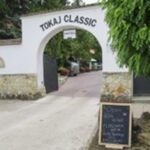 Tokaj Classic’s founding musicians, who were widely traveled and had tasted a variety of wines from different countries, came to the unanimous conclusion that Tokaj was a diamond in the rough, just waiting to be polished. In the historic village of Mád, the musicians refurbished an old estate and acquired vineyards in the historical prime locations of Királyhegy (King’s Mountain), and Betsek, formerly owned by the Hungarian nobility. It was a region with a wine growing history dating back over 400 years. VisitTokaj.org Award winning white wines, Aszu and Eszencia #ilovetokaj #tokaj #aszu www.aszu.org www.ilovetokaj.com #visittokaj www.tarcal.org www.ilovetokaj.org www.szerencs.org www.kidsdinefree.com www.kidsdinefree.net www.kidseatfreecard.com www.smartsim.cards www.smartsimusa.com www.szerencs.com www.taktik.enterprises www.tokaj.me www.travelsavings.cards www.vipshopdine.com www.shopdineplay.com www.visittarcal.com www.visittarcal.org www.maygarbor.com www.tokajbor.com www.play4lesscard.com www.taktikenterprises.com www.bugyidobo.com www.thattravelsolution.com www.st.thatravelsolution.com www.tokajwineries.com www.dine4lesscard.com #TokajAszu #hungarywines #hungarianwine #tokajwine