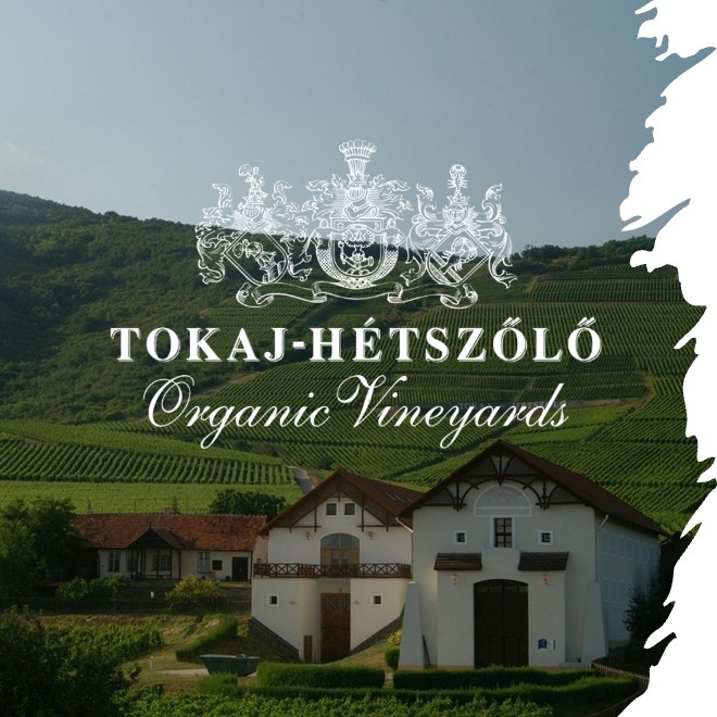 Tokaj-Hétszőlő Organic Vineyards Visit Tokaj