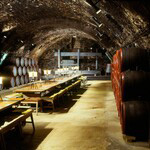 Rákóczi Cellar - Tokaj-Hétszőlő Organic Vineyards Visit Tokaj