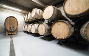 Harsanyi Dulobisztro (Vineyard Bistro), Harsanyi Pinceszet, RETEL VITEZ GUEST HOUSE Tokaj Wine Visit Tokaj and VisitTokaj.org Award winning white wines, Aszu and Eszencia #ilovetokaj #tokaj #aszu www.aszu.org www.ilovetokaj.com #visittokaj www.tarcal.org www.ilovetokaj.org www.szerencs.org www.kidsdinefree.com www.kidsdinefree.net www.kidseatfreecard.com www.smartsim.cards www.smartsimusa.com www.szerencs.com www.taktik.enterprises www.tokaj.me www.travelsavings.cards www.vipshopdine.com www.shopdineplay.com www.visittarcal.com www.visittarcal.org www.maygarbor.com www.tokajbor.com www.play4lesscard.com www.taktikenterprises.com www.bugyidobo.com www.thattravelsolution.com www.st.thatravelsolution.com www.tokajwineries.com www.dine4lesscard.com #TokajAszu #hungarywines #hungarianwine #tokajwine