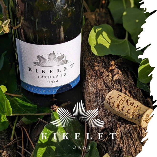 Kikelet Pince Stéphanie Berecz and Zsolt Berecz Wine of the Hungarian Academy of Sciences 2025 and a Gold Winner at the 2025 Vince Awards. Tarcal's iconic Áldó Krisztus szobor (Blessing Christ Statue) The estate is in the heart of Tarcal, a former splendid market town in the Tokaj Wine Region. Tokaj Wine Visit Tokaj and VisitTokaj.org www.ilovetokaj.com Award winning white wines, Aszu and Eszencia #ilovetokaj #tokaj #aszu www.aszu.org www.ilovetokaj.com #visittokaj www.tarcal.org www.ilovetokaj.org www.szerencs.org www.kidsdinefree.com www.kidsdinefree.net www.kidseatfreecard.com www.smartsim.cards www.smartsimusa.com www.szerencs.com www.taktik.enterprises www.tokaj.me www.travelsavings.cards www.vipshopdine.com www.shopdineplay.com www.visittarcal.com www.visittarcal.org www.maygarbor.com www.tokajbor.com www.play4lesscard.com www.taktikenterprises.com www.bugyidobo.com www.thattravelsolution.com www.st.thatravelsolution.com www.tokajwineries.com www.dine4lesscard.com #TokajAszu #hungarywines #hungarianwine #tokajwine